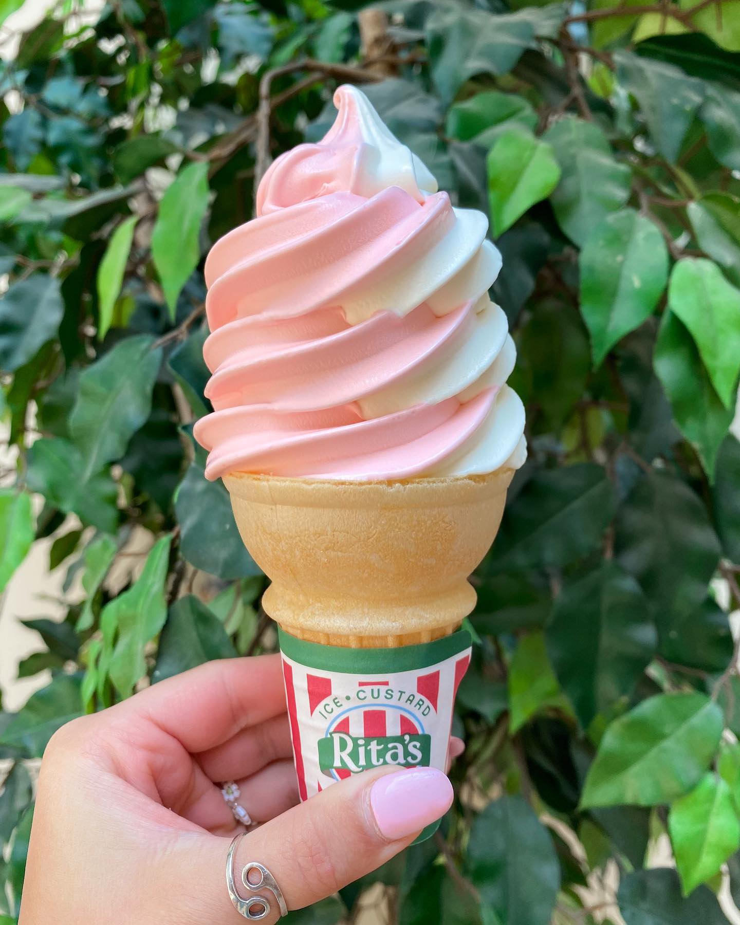 rita-s-italian-ice-frozen-custard-morgantown-s-menu-guide